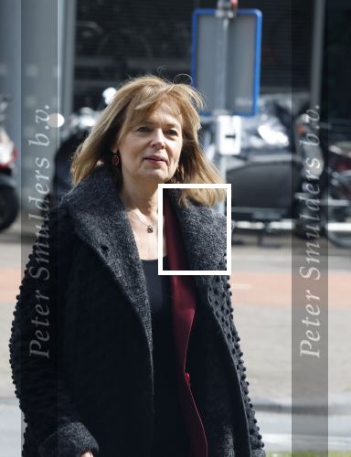 Lelystad 31 maart 2026
Rechtszaak Edwin de Roy v Zuydewijn had rechtszaak aangespannen tegen producent van serie over Prinses Margarita . Er was veel pers maar hij kwam niet opdagen . saskia Belleman