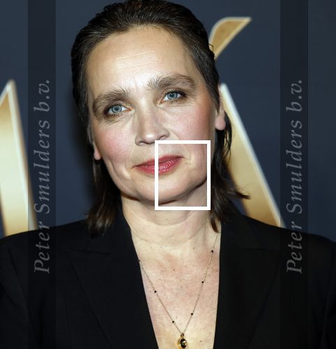 Amsterdam 11 maart 2026
Premiere 2e seizoen Maxima ( Videoland) in nieuwe kerk in Amsterdam . Saskia Diesing