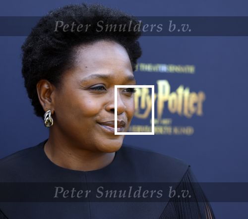 Scheveningen 14 maart 2026
Premiere Harry Potter in het afas circustheater. Simone Weinans