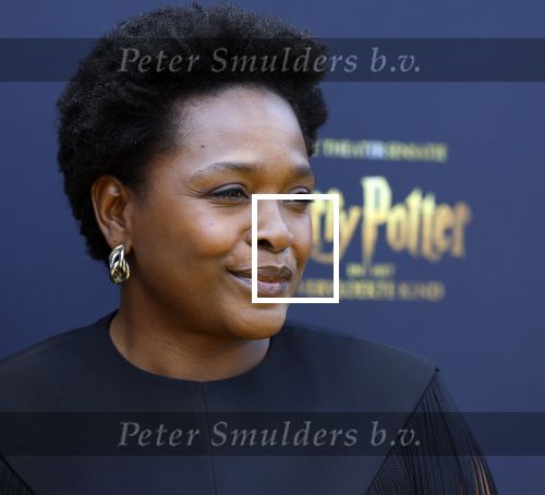 Scheveningen 14 maart 2026
Premiere Harry Potter in het afas circustheater. Simone Weinans