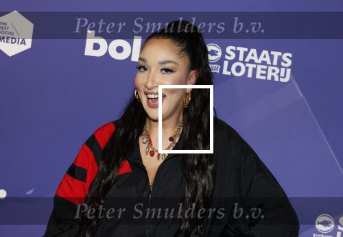 Amsterdam 5 maart 2026
Uitreiking social awards in theater Amsterdam. Soundos