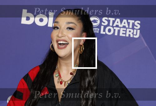 Amsterdam 5 maart 2026
Uitreiking social awards in theater Amsterdam. Soundos