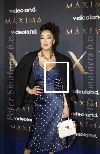 Amsterdam 11 maart 2026
Premiere 2e seizoen Maxima ( Videoland) in nieuwe kerk in Amsterdam . Soundos