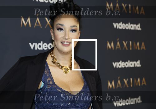 Amsterdam 11 maart 2026
Premiere 2e seizoen Maxima ( Videoland) in nieuwe kerk in Amsterdam . Soundos