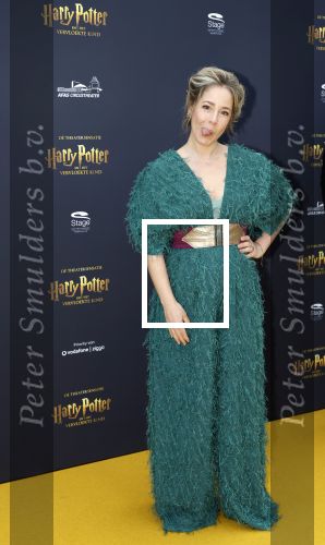 Scheveningen 14 maart 2026
Premiere Harry Potter in het afas circustheater. Suzan Seegers met partner