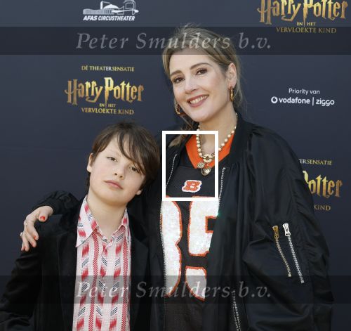 Scheveningen 14 maart 2026
Premiere Harry Potter in het afas circustheater. Tina de Bruin met zoon