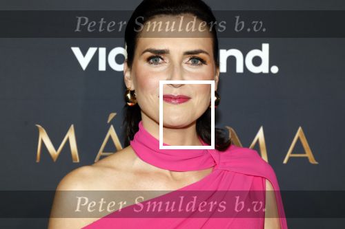 Amsterdam 11 maart 2026
Premiere 2e seizoen Maxima ( Videoland) in nieuwe kerk in Amsterdam . Tirza v d  Graaf