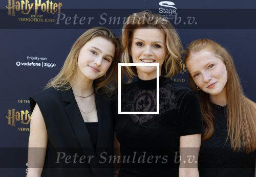 Scheveningen 14 maart 2026
Premiere Harry Potter in het afas circustheater. Tooske Ragas met haar dochters