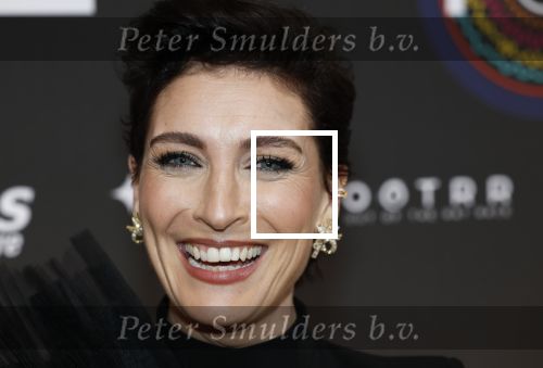 Leusden 9 maart 2026
Uitreiking edisons muziekprijzen bij Afas . Vivienne v d Assem