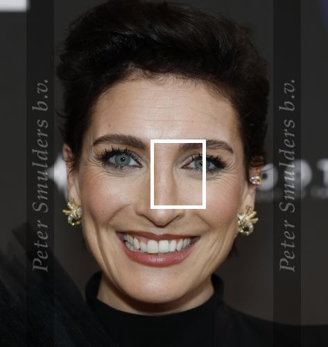 Leusden 9 maart 2026
Uitreiking edisons muziekprijzen bij Afas . Vivienne v d Assem