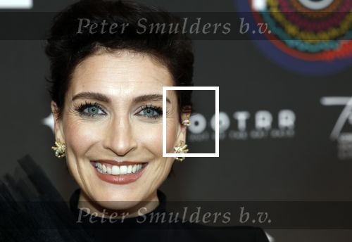 Leusden 9 maart 2026
Uitreiking edisons muziekprijzen bij Afas . Vivienne v d Assem