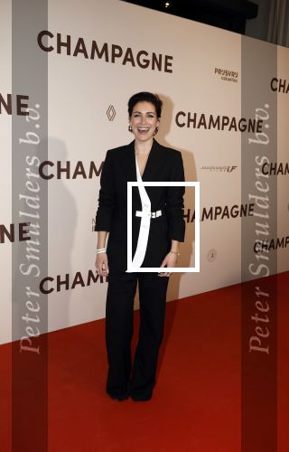 Amsterdam 16 maart 2026
Premiere Champagne met in de hoofdrollen Leo Alkemade Huub Stapel  en Guus Meeuwis . Vivienne v d Assem