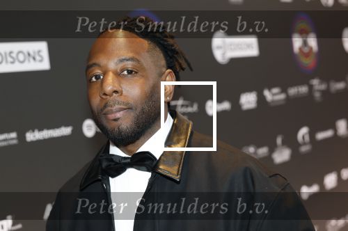 Leusden 9 maart 2026
Uitreiking edisons muziekprijzen bij Afas . Winston Bergwijn
