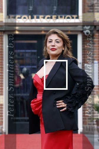 Amsterdam 8 maart 2026
Boek presentatie Yesim Candan in het college Hotel.