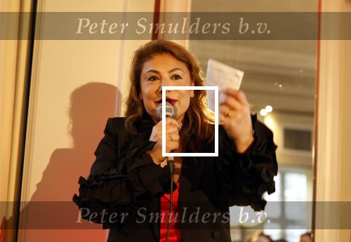 Amsterdam 8 maart 2026
Boek presentatie Yesim Candan in het college Hotel.