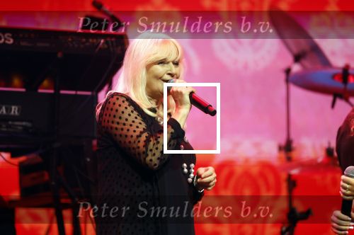 Tilburg 2 oktober 2023
Buma Prijzen in 013 in Tilburg .
Zangeres Mieke zingt samen met Marco Schuitmaker het liedje Engelbewaarder.