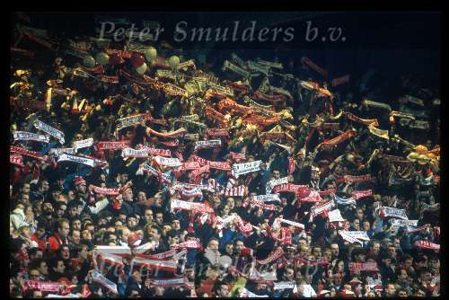 Supporters van PSV op de tribune