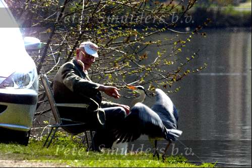 Breukelen 15 april 2003
Man vissen met 2 reigers aan de vecht
Hengelsport