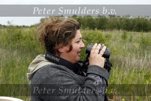 Muiderberg 31 mei 2006
Linda de Mol, Annette Malherbe Tjitske Reidinga  en Susan Visser  (Gooische vrouwen)op woonark in natuurreservaat Naardermeer tegen aanleg A6