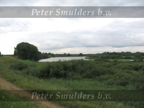 Hurwenen, 8 Augustus 2006
(Zaltbommel) De Kil van Hurwenen.( een van de uiterwaarden van de Waal )
Beschermd natuurgebied wat eigendoms is van Staatsbosbeheer