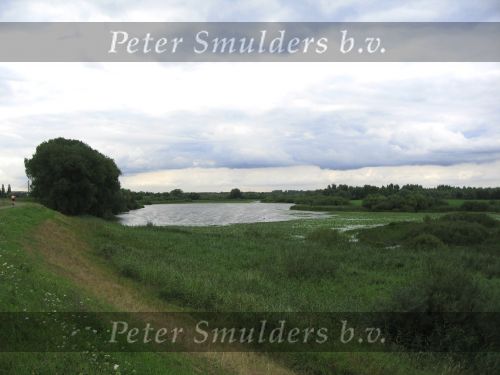 Hurwenen, 8 Augustus 2006
(Zaltbommel) De Kil van Hurwenen.( een van de uiterwaarden van de Waal )
Beschermd natuurgebied wat eigendoms is van Staatsbosbeheer