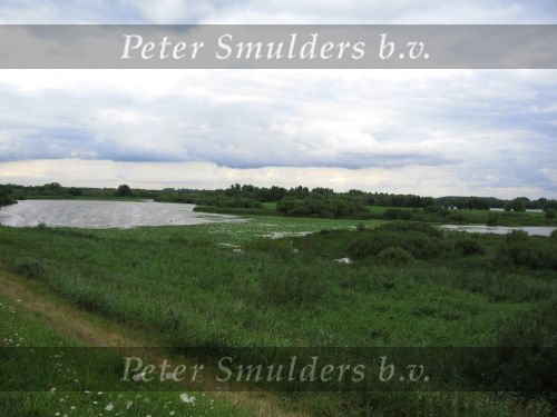 Hurwenen, 8 Augustus 2006
(Zaltbommel) De Kil van Hurwenen.( een van de uiterwaarden van de Waal )
Beschermd natuurgebied wat eigendoms is van Staatsbosbeheer