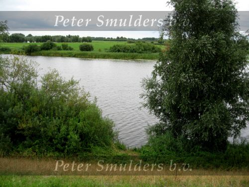 Hurwenen, 8 Augustus 2006
(Zaltbommel) De Kil van Hurwenen.( een van de uiterwaarden van de Waal )
Beschermd natuurgebied wat eigendoms is van Staatsbosbeheer