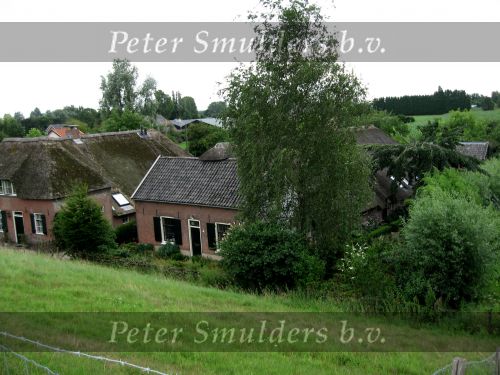 Hurwenen, 8 Augustus 2006
(Zaltbommel) Een dijkhuis en boerderij bij de Kil van Hurwenen.
Beschermd natuurgebied wat eigendoms is van Staatsbosbeheer