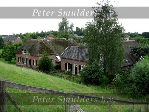 Hurwenen, 8 Augustus 2006
(Zaltbommel) Een dijkhuis en boerderij bij de Kil van Hurwenen.
Beschermd natuurgebied wat eigendoms is van Staatsbosbeheer