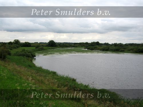 Hurwenen, 8 Augustus 2006
(Zaltbommel) De Kil van Hurwenen.( een van de uiterwaarden van de Waal )
Beschermd natuurgebied wat eigendoms is van Staatsbosbeheer
