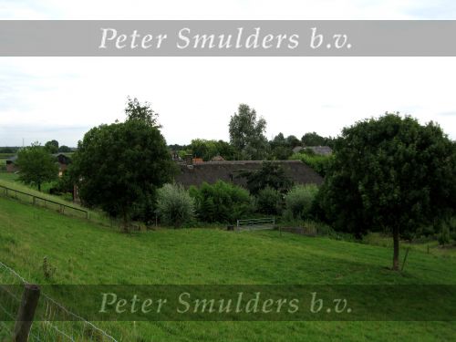 Hurwenen, 8 Augustus 2006
(Zaltbommel) Een dijkhuis en boerderij bij de Kil van Hurwenen.
Beschermd natuurgebied wat eigendoms is van Staatsbosbeheer