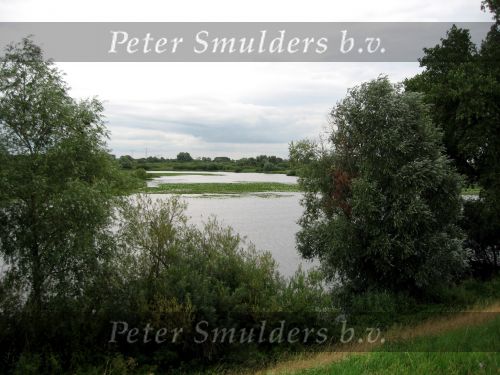 Hurwenen, 8 Augustus 2006
(Zaltbommel) De Kil van Hurwenen.( een van de uiterwaarden van de Waal )
Beschermd natuurgebied wat eigendoms is van Staatsbosbeheer