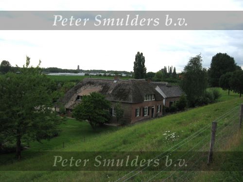 Hurwenen, 8 Augustus 2006
(Zaltbommel) Een dijkhuis en boerderij bij de Kil van Hurwenen.
Beschermd natuurgebied wat eigendoms is van Staatsbosbeheer
