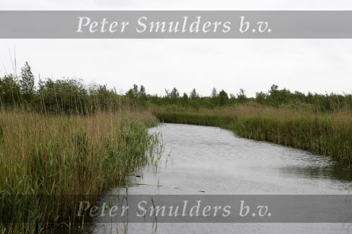 Muiderberg 31 mei 2006
Linda de Mol, Annette Malherbe Tjitske Reidinga  en Susan Visser  (Gooische vrouwen)op woonark in natuurreservaat Naardermeer tegen aanleg A6
Peter Smulders bv
