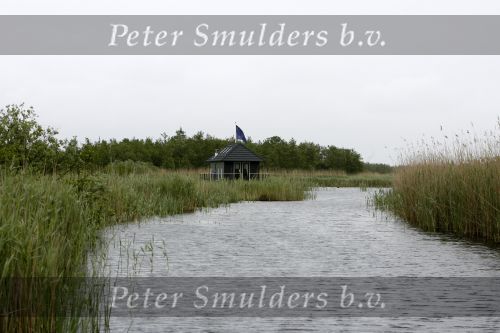 Muiderberg 31 mei 2006
Linda de Mol, Annette Malherbe Tjitske Reidinga  en Susan Visser  (Gooische vrouwen)op woonark in natuurreservaat Naardermeer tegen aanleg A6
Peter Smulders bv