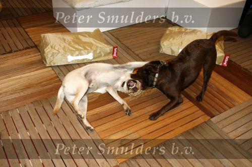 Amsterdam 16 juli 2006
OPening honden spa in het hilton hotel
Quinty trustfull haar  hond  met Sumo