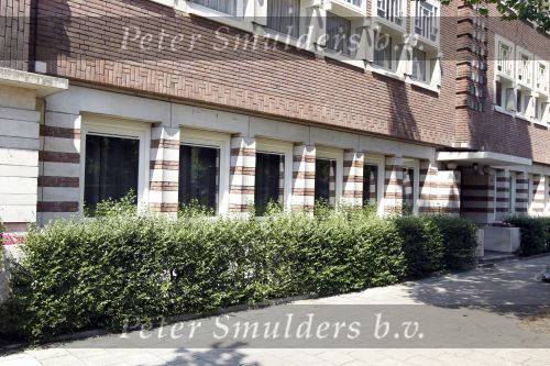 Amsterdam 24 juni 2010
Huis waar Patricia Paay een bod op heeft gedaan .
Peter Smulders bv