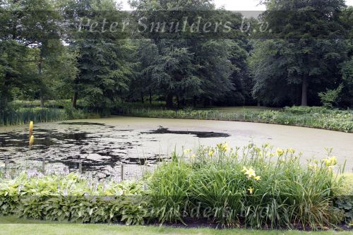Wassernaar 5 juni 2010
Fotouurtje met Prinses Maxima Amalia Alexia Ariane en Prins Willem Alexander in de tuin van hun huis op de Horsten.
Peter Smulders bv