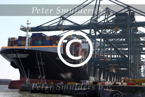 Antwerpen 18 Juli 2013,
Containervervoer per schip
Vervoersmaatschappij MSC
Fotopersbureau Peter Smulders BV
