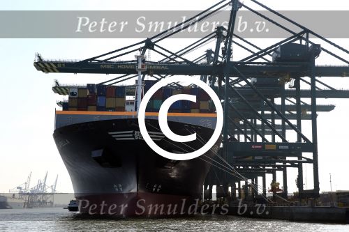 Antwerpen 18 Juli 2013,
Containervervoer per schip
Vervoersmaatschappij MSC
Fotopersbureau Peter Smulders BV