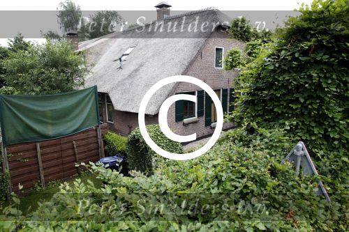 Soest 20 juni 2013
Boerderij huis van Wilfred Genee.
Peter Smulders bv