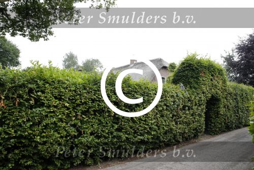 Soest 20 juni 2013
Boerderij huis van Wilfred Genee.
Peter Smulders bv
