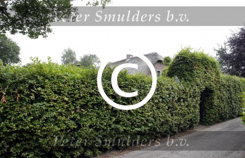 Soest 20 juni 2013
Boerderij huis van Wilfred Genee.
Peter Smulders bv