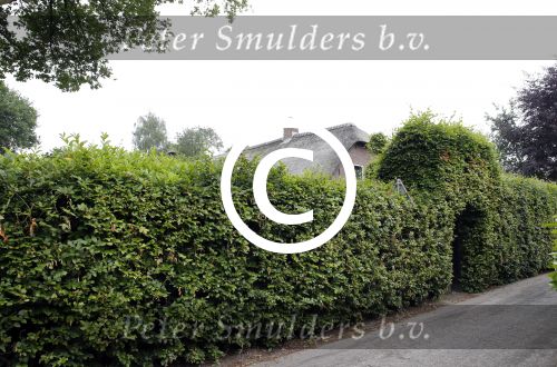 Soest 20 juni 2013
Boerderij huis van Wilfred Genee.
Peter Smulders bv