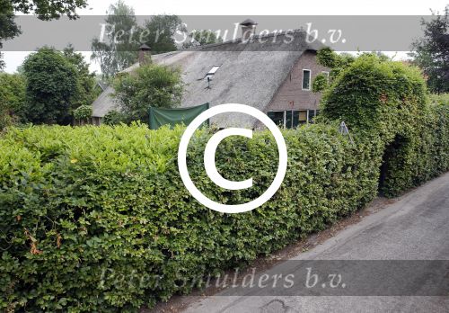Soest 20 juni 2013
Boerderij huis van Wilfred Genee.
Peter Smulders bv