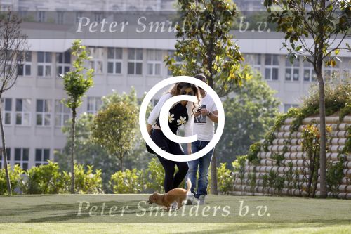 istanbul 22 mei 2013
Wesley Sneijder en zijn vrouw Yolanthe Sneijder Cabau met hun hond voor hun huis in Istanbul
Peter Smulders bv