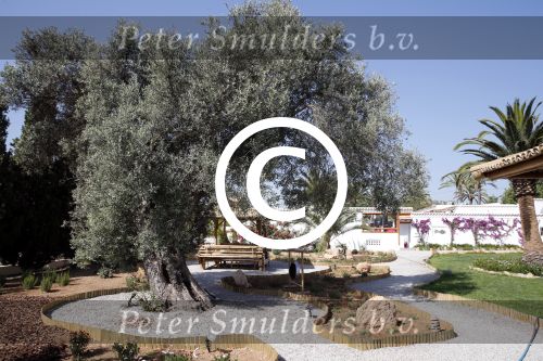 Ibiza 15 juli 2013
Een van de meest romantische hotels op ibiza , ibizazen.
Peter Smulders bv