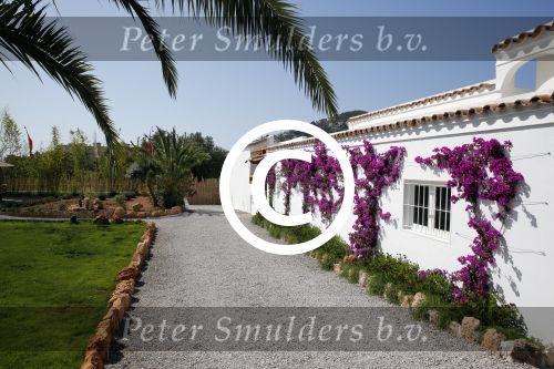 Ibiza 15 juli 2013
Een van de meest romantische hotels op ibiza , ibizazen.
Peter Smulders bv