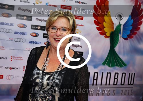 Amsterdam 29 juni 2015
Rainbow awards in Tuschinski.
Catherine Keyl