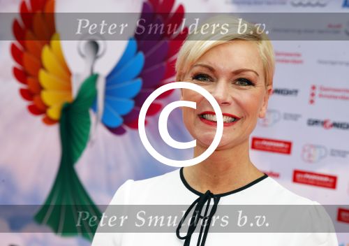 Amsterdam 29 juni 2015
Rainbow awards in Tuschinski.